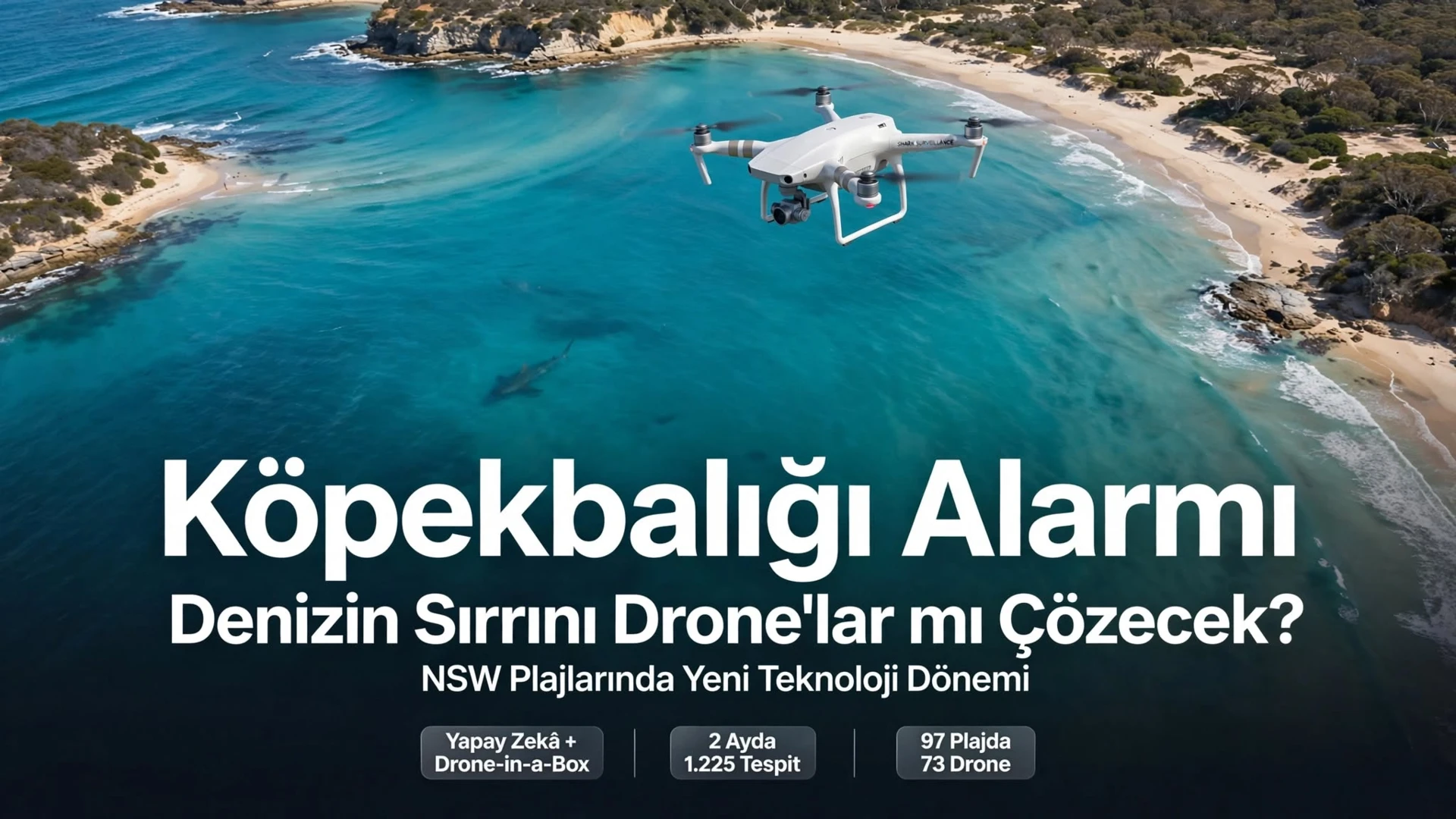 Köpekbalığı alarmı: Yapay zekâ ve drone'lar gökyüzünde!