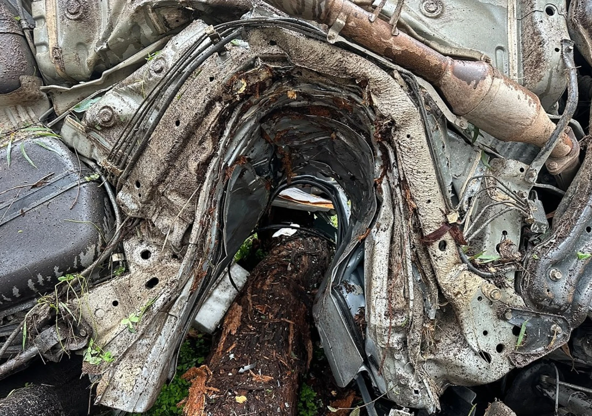 Ağaca sarılan otomobilden hafif yaralı çıktı